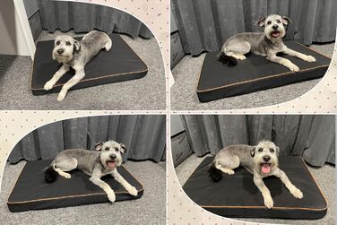 FORTISLINE Dog Mat Dog Bed OAHU Plus 2 Sizes 4 Colors (XL - 120x80x8cm, Grey)