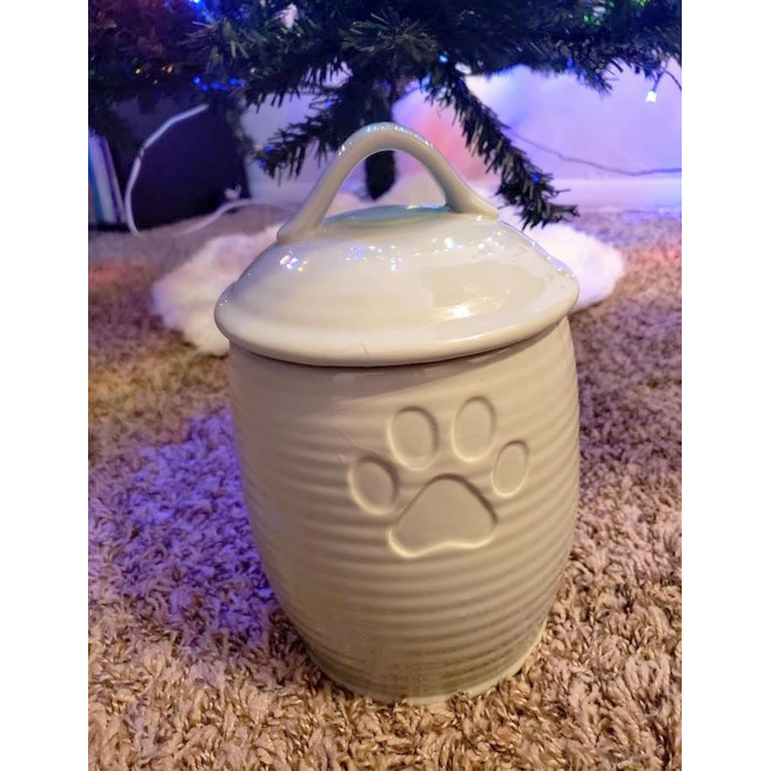 Контейнер для собачих ласощів великого об'єму, герметичний, керамічний, зелений