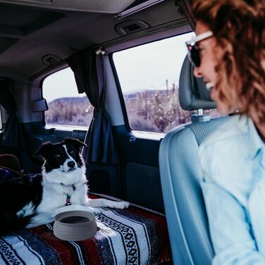 Складаний годівниця для собак SLSON, витокозахисний, портативний, для подорожей на авто, персиково-рожевий (холодний темно-сірий)