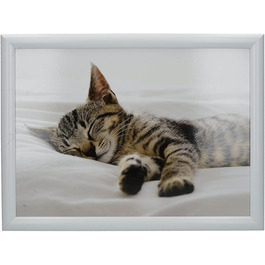 Creative Tops Kitten Lap Tray with Cushion, Beanbag Padded, 44 x 34cm, Multi-Coloured