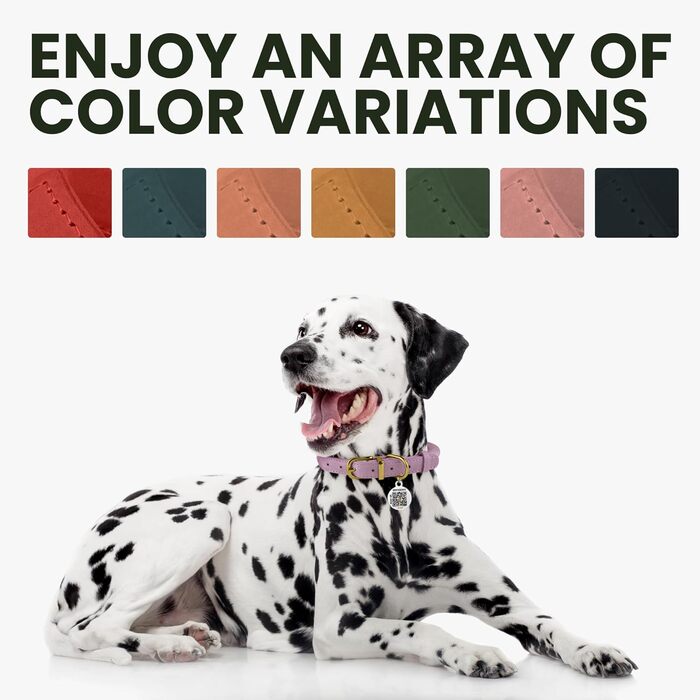 Нашийник для собак BRONZEDOG з шкіри, з QR-ідентифікатором, регульований, м'який, для малих, середніх та великих собак, цуценят, котів (коньячний, 28-36 см)