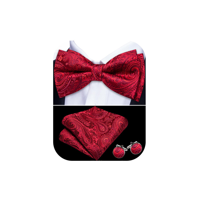 Набір краваток-метеликів, нагрудних хустинок та застібок для манжет Barry.Wang для весіль та урочистих заходів (шовк з візерунком павазьок)