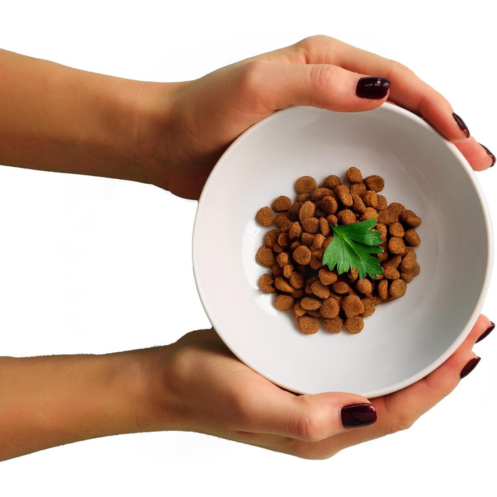 Миска для собак Draiax ElegantFeed M з кераміки – чорна, з матовим зовнішнім та глянцевим внутрішнім покриттям