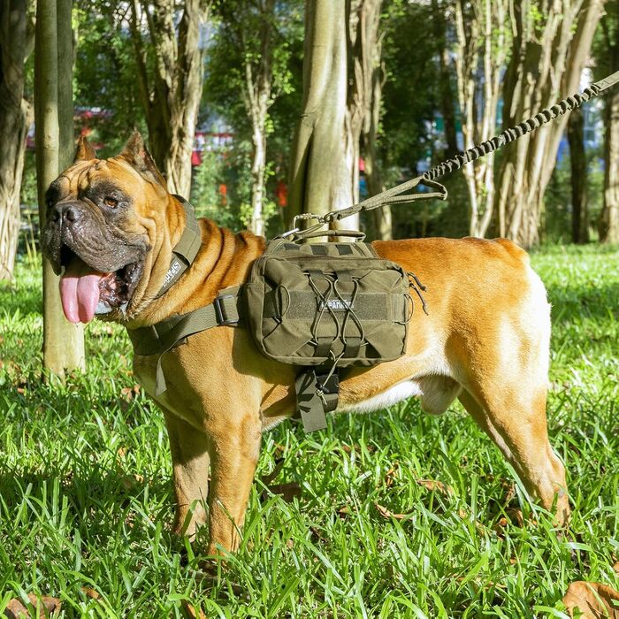 Рюкзак для собак RGN-L: місткий, для подорожей, кемпінгу та хандрингу. Підходить для середніх та великих собак. Військовий зелений.