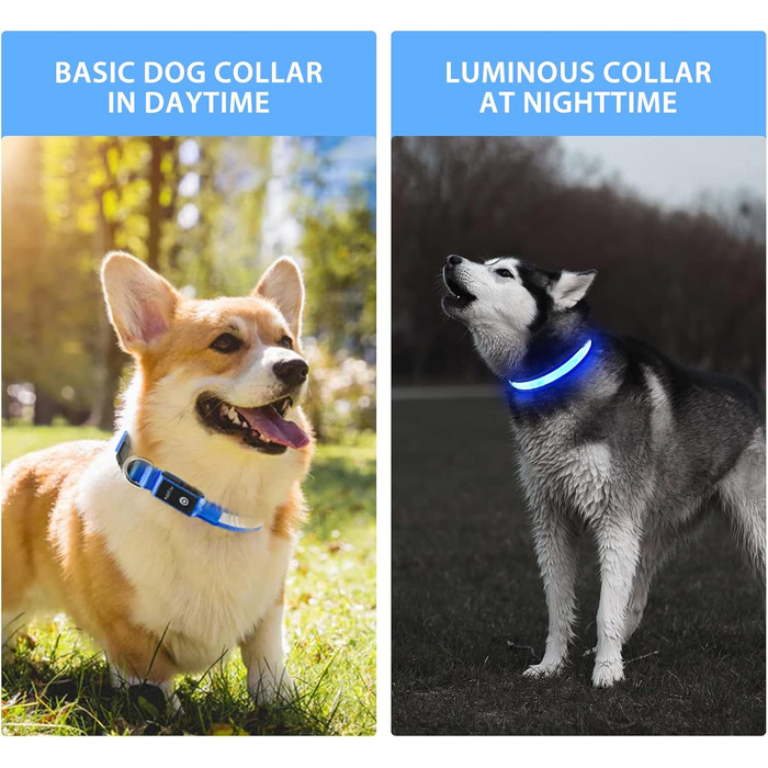 Світлодіодне нашийник для собак Leuchthalsband PcEoTllar, водонепроникний, 7 кольорів, регульований, для маленьких та великих собак, 8 режимів, синій, L (48-60 см)