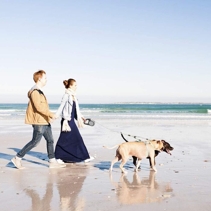 KOOLTAIL Подвійна висувна повіддя для собак на двох, до 50 кг, міцна, 5 м, поворот на 360°, без перекручування, кнопка блокування, для маленьких та середніх собак (Сірий)