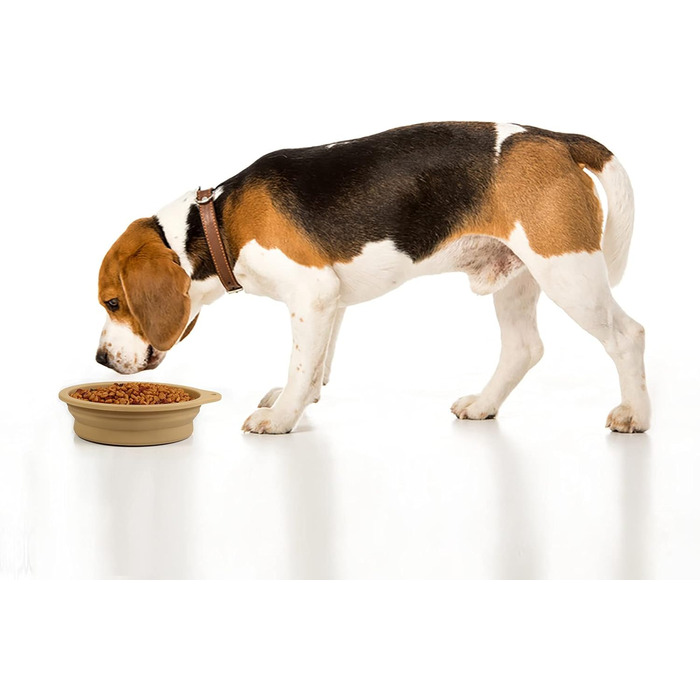 SLSON Складаний миска для собак 2 шт. - Портативна годівниця для тварин з карабіном для подорожей (зелена)