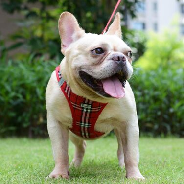 Шлейка для собак Suredoo для маленьких собак з повідком, анти-тягнуча, світловідбиваюча, дихаюча, нагрудна, для цуценят (Червоно-біла клітинка, M, Обхват грудей: 34-39см)