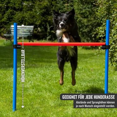 Набір для аджиліті NATIV LEMODO для собак | Тренування собак з бар'єрами та стрибковим кільцем | Легкий у транспортуванні аксесуар для аджиліті | Початковий набір у собачий спорт (з тунелем)