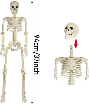 Halloween Plastic Skeleton, 90cm Full Body Halloween Skeleton with Movable Joints for Halloween Indoor Garden House Patio Decorations (2 Pack)