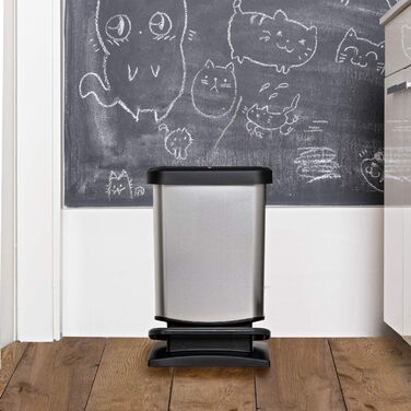 Відро для сміття Rotho Paso 20л з кришкою, пластикове, сріблясто-металеве