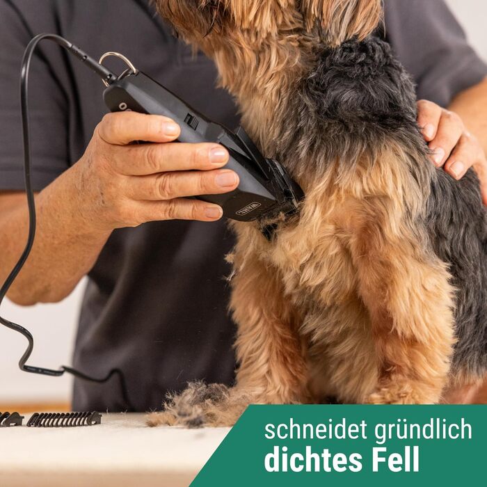 Машинка для стрижки собак Agrarzone Edition Wahl 1400 з набором гребінців - тиха професійна машинка Moser для маленьких собак, як Йоркширський тер'єр, ергономічна та довговічна