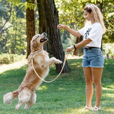 Шкіряний нашийник для собак CollarDirect, круглий, м'який з підкладкою, ручної роботи, справжня шкіра, для цуценят та дорослих собак, малих та великих порід, рожевий, червоний, фіолетовий, синій (бежевий, 15-18 см)