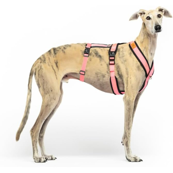 Шлейка для собак Whippet, Podenco, Італійський грейхаунд - антитягальна, для прогулянок, тренувань та бігу (Рожева, XS)
