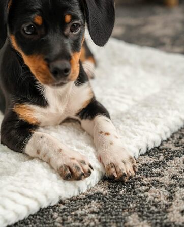 Підстилка для собак та котів Lionto Wendedecke, 60x45 см, сіра, з підкладкою, тепла, миюча, для захисту від холоду, будь-якого розміру