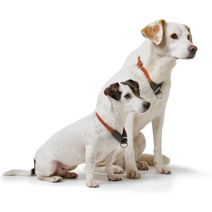 Нашийник для дрессури HUNTER FREESTYLE, червоний, розмір M. Міцний, з нейлоновим тросом, стійкий до погодних умов, для тренувань та повсякденного використання.