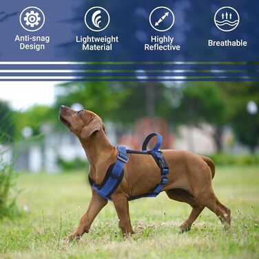 Нашийник для собак Mittel, світловідбиваючий, анти-тяга, з м'якою підкладкою та ручкою, для цуценят та собак середніх розмірів (S, блакитний)