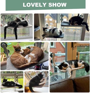 MEWOOFUN Cat Hammock Window 54x30cm Cat Bed Window Reversible Mat - Cat Window Lounge with Upgraded Strong Suction Cups up to 18kg (Gray, M)