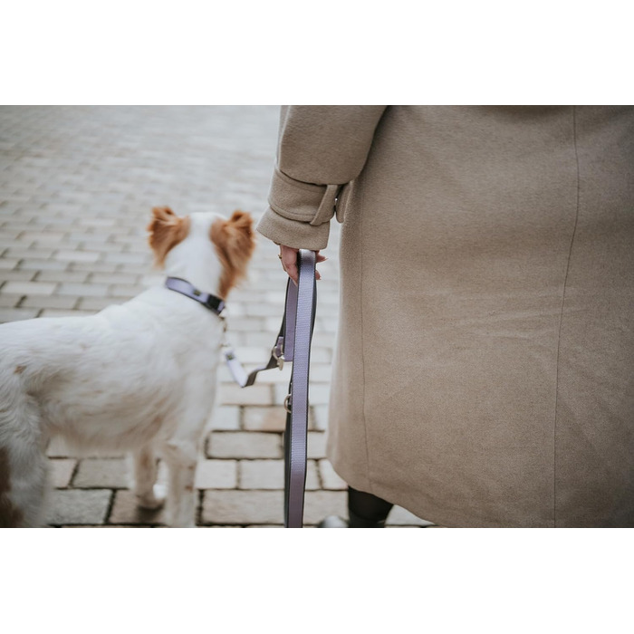 Нашийник для собак HUNTER Neopren Vario Plus, лаванда/сірий, S-M