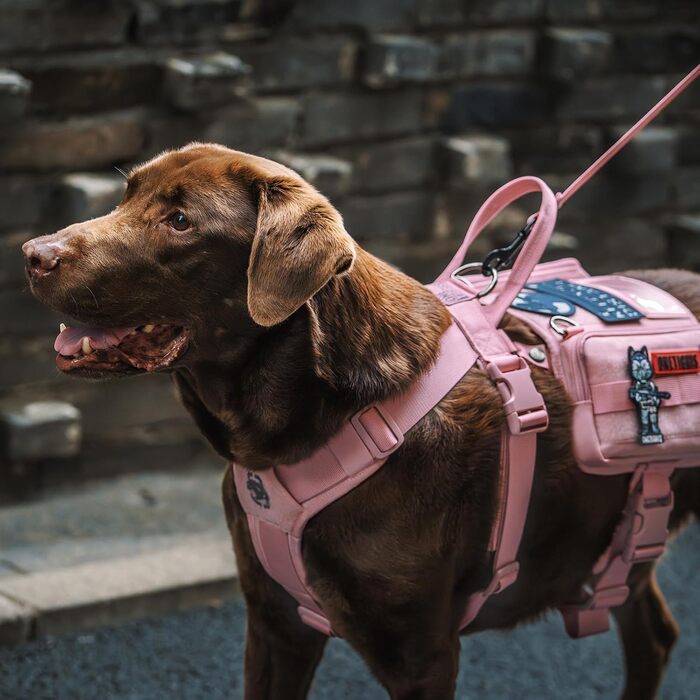 Нашийник для собак OneTigris Guardian з міцною металевою фурнітурою та великою кишенею, рожевий, M