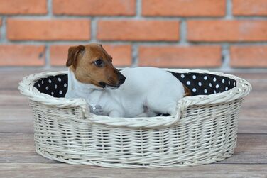 Wicker Dog Basket for Dog and Cat - Dog Bed, Cat Bed with Cushion, Pet Basket, Woven Cat Basket 60x43 H19 cm (80 x 60 x 26 cm, Beige)