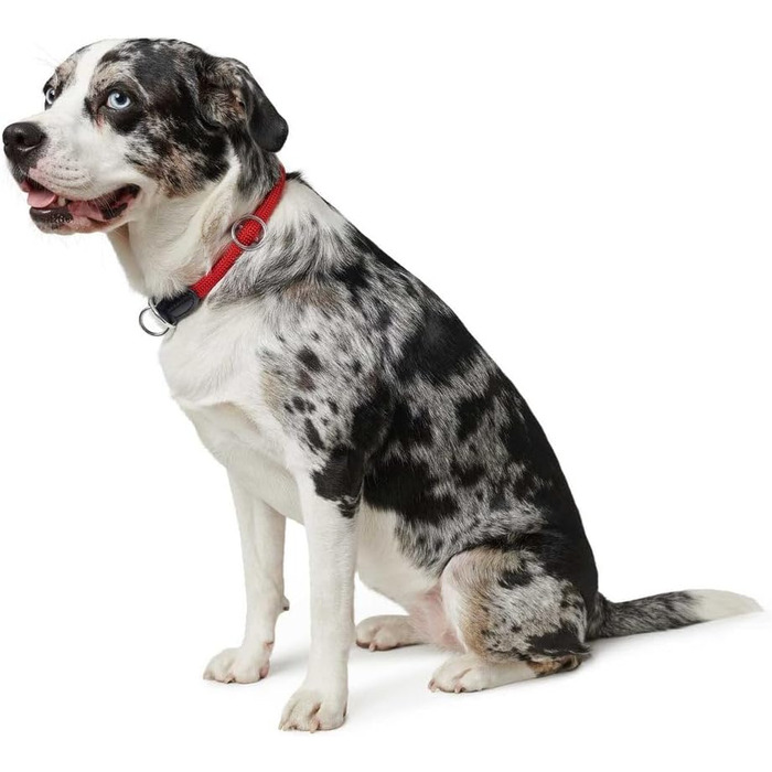 Нашийник для дрессури HUNTER FREESTYLE, червоний, розмір M. Міцний, з нейлоновим тросом, стійкий до погодних умов, для тренувань та повсякденного використання.