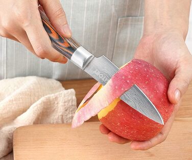 Японський кухонний ніж Kiritsuke Kochmesser 20 см, професійний шеф-ніж з нержавіючої сталі, захист леза, ручка з паккавуда, серія FLAMINGO