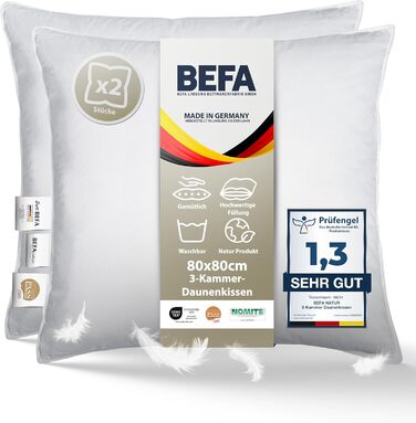 BEFA NATUR Made in Germany 3-Chamber Pillow 80x80 cm made of 90% down and 10% feathers, suitable for allergy sufferers (Nomite), Öko-Tex 100 Class 1 certified, EN Standard 12934, Downpass (2 pieces) 80 x 80 cm (2 pieces)