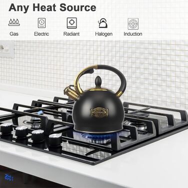 Чайник для заварювання чаю, класичний чайник з нержавіючої сталі, чайник з холодною ручкою для плити, 3 л (Чорний)