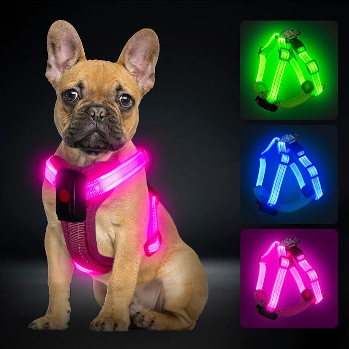 Світловідбиваючий нашийник для собак PZRLit з підзарядкою, для маленьких собак, XS, LED, для безпечних прогулянок вночі - Рожевий