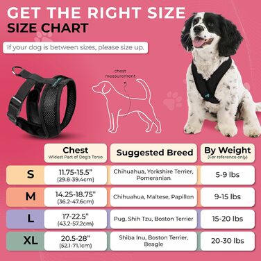 Нашийник для собак Gooby Comfort X для прогулянок та дому, чорний, розмір M, захист від задушення, для собак малих та середніх порід