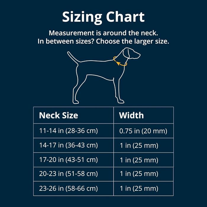 Нашийник для собак Ruffwear Web Reaction, регульований, з алюмінієвим кільцем V-подібної форми та бічною відкриваністю, зручний, світловідбиваючий, сірий (Basalt Grey), 11'-14'