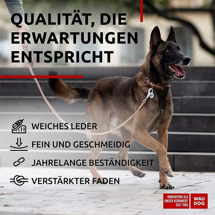 Сумка для собак WAUDOG з натуральної шкіри, великі та середні породи, повсякденне використання, регульована довжина 27-36 см, ширина 15 мм, коричнева