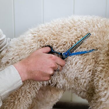 Ножиці Mikki Doodle для грумінгу собак та цуценят, 16,5 см - професійні ножиці для вирівнювання та стрижки шерсті