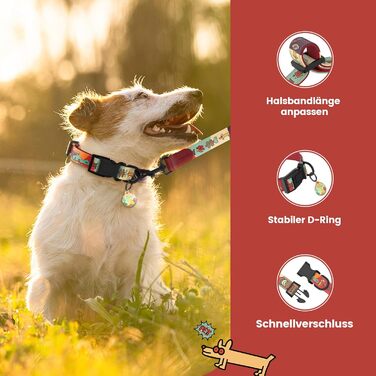 Набір повідка та нашийника для собак, регульований, для щоденних прогулянок, червоний, XS (22-30 см, повідка 1.5 м)