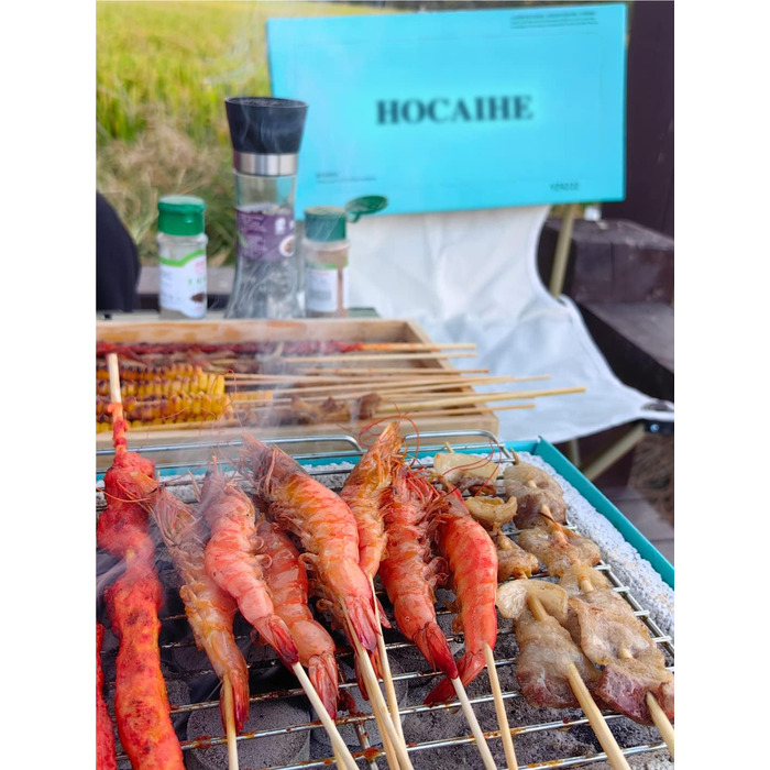 Disposable Grill, Portable Charcoal Grill, Grill Set for Indoors and Outdoors, Lightweight, Ready to Use, for BBQ, Picnic, Camping, Deck