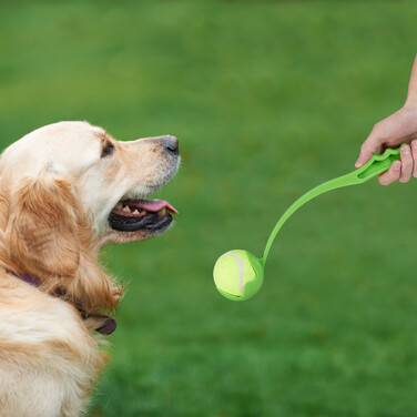 Relaxdays Dog Ball Launcher 2-Piece Set