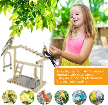 Bird Playground, budgie toys, bird stand, bird gym, bird accessories, playground, ladder, exercise pen with feeder cups, tray, swing for parakeets, canaries, finches, etc. #9