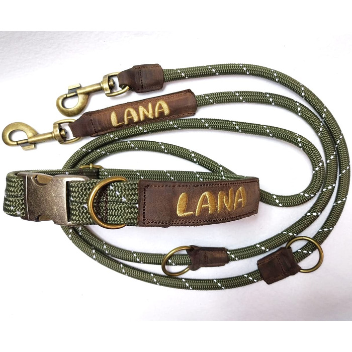 Персоналізований поводок для собак або нашийник: регульований, з натуральної шкіри, зі старовинною латунною фурнітурою