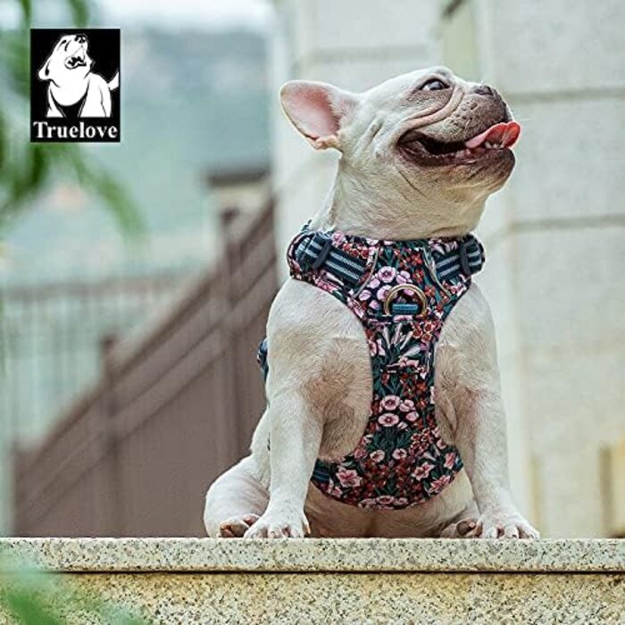 Шлейка для собак WINHYEPET Truelove No-Pull, бавовняна, дихаюча, світловідбиваюча, регульована, для бігу та прогулянок, підходить для котів та собак середніх розмірів (XL, Navy Blazer)