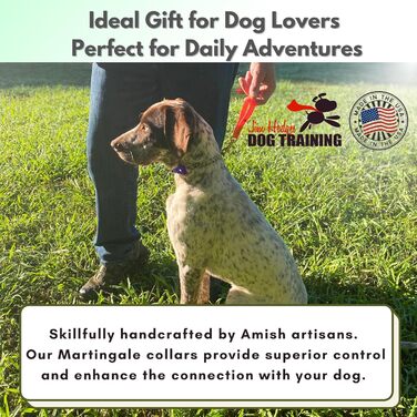 Нашийник для собак Artingale від JI HODGES, біотана, невеликий розмір (фіолетовий), професійна якість, не дає тягнути