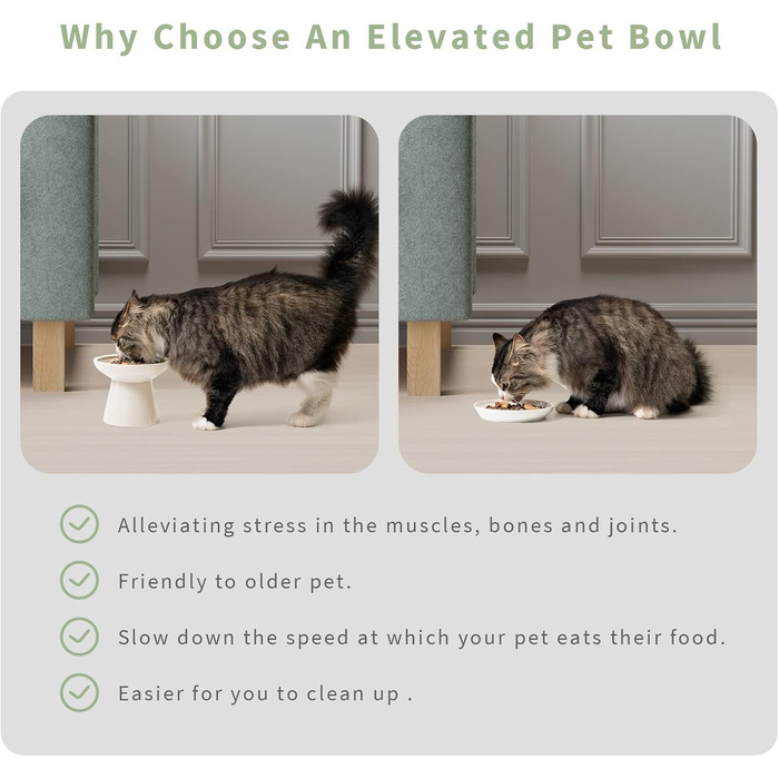 Керамічна миска для котів з піднятою платформою, 2 шт., блакитна, проти блювоти, для собак та котів