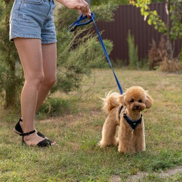 Нашийник для собак Ferplast ERGOCOMFORT, розмір XS, блакитний, регульований, з м'якою підкладкою, подвійний мікрорегулятор, швидка застібка