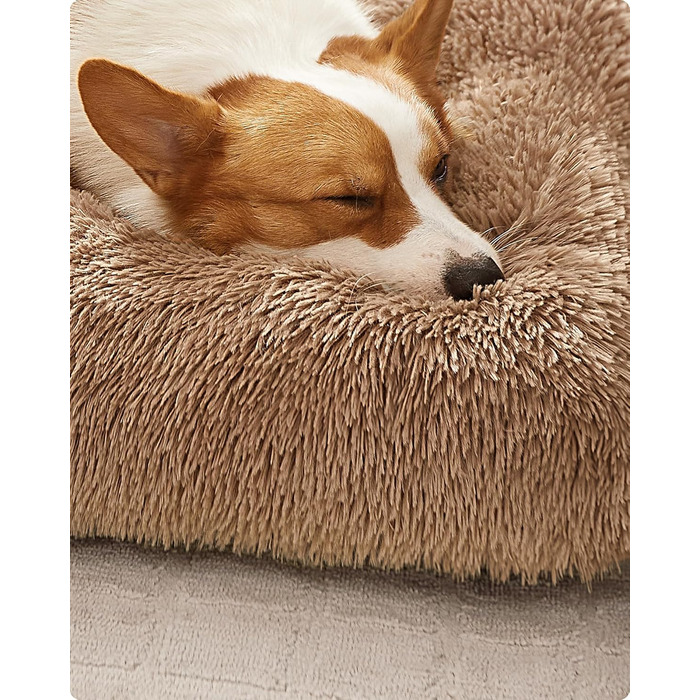 Ліжко для собак Feandrea з м'яким лежаком, 65x45 см, Ombré Grey, машинне прання, багатофункціональне, PGW200G01