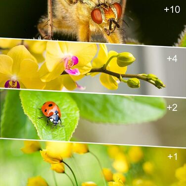 Набір фільтрів макрозйомки Close-up 49mm (x1, x2, x4, x10) для Canon, Nikon, Sony, Pentax, Olympus, Fuji DSLR камер