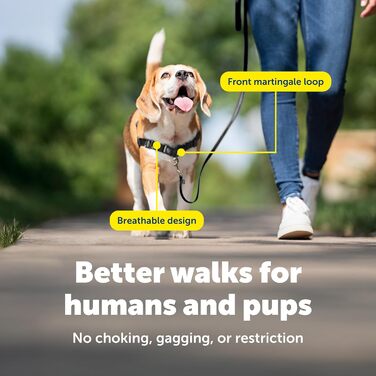 Нашийник для собак Petafe Eay Walk, щоб уникнути тягнучої повідка, навчання хорошим манерам, чорний/антрацитовий, S/M