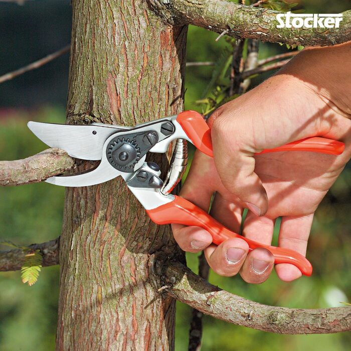 Професійний садовий секатор STOCKER 21 см, хромована сталь, ергономічний, для обрізки гілок до 22 мм, ідеальний для троянд та багаторічників, з PVC-ручками