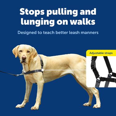 Нашийник для собак Petafe Eay Walk, запобігає потягування, навчання правильній поведінці на повідку (антрацит / чорний, L)