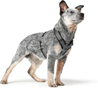 Нашийник для собак HUNTER Hundegeschirr Maldon UP, чорний/сірий, XS: м'який, комфортний, з 3M Scotchlite, регулюється