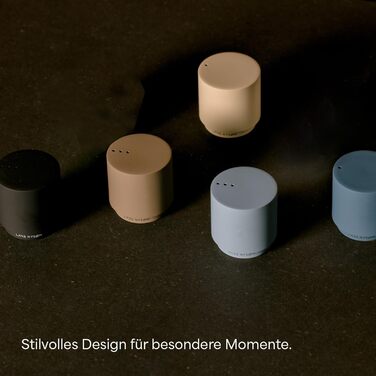 LARS NYSØM Gift Set with Salt and Pepper Shakers & Spices - Mini Designer Salt and Pepper Shakers with Finest Alpine Salt and Brazilian Pepper in an Attractive Gift Box - Carbon Black